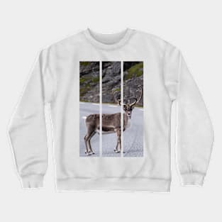 Wonderful landscapes in Norway. Nord-Norge. Beautiful reindeer watching me going to Nordkapp (vertical) Crewneck Sweatshirt